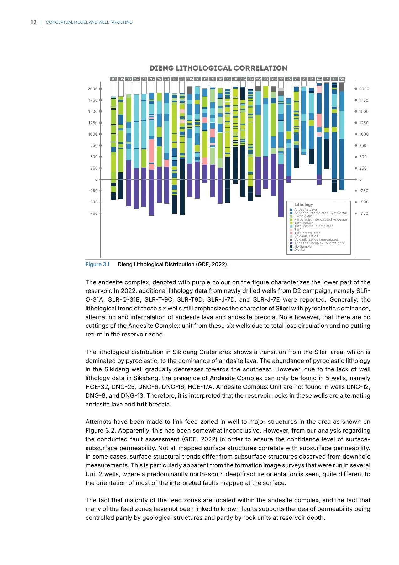 Feasibility Study Dieng Unit 3 and 4 - Final Report · page 30