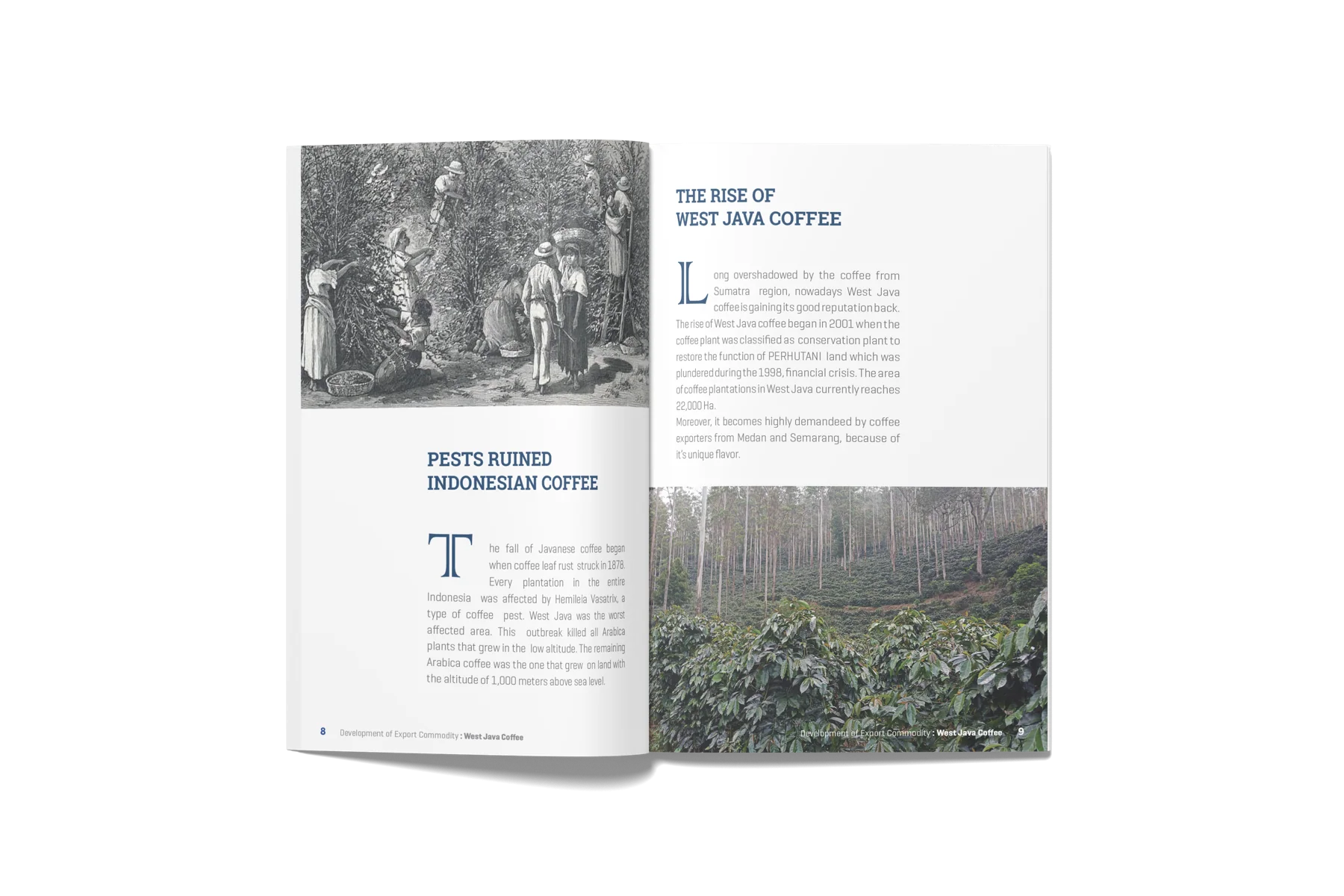 West Java Coffee · Export booklet